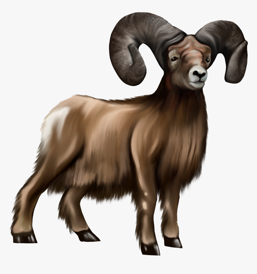 Bighorn, HD Png Download, Free Download