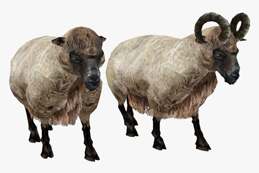 Elder Scrolls - Png Ram Sheep, Transparent Png, Free Download