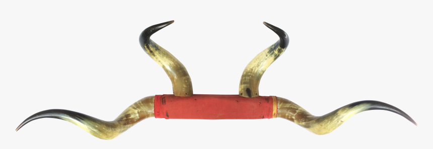 Antique Th C Horn - Bull, HD Png Download, Free Download