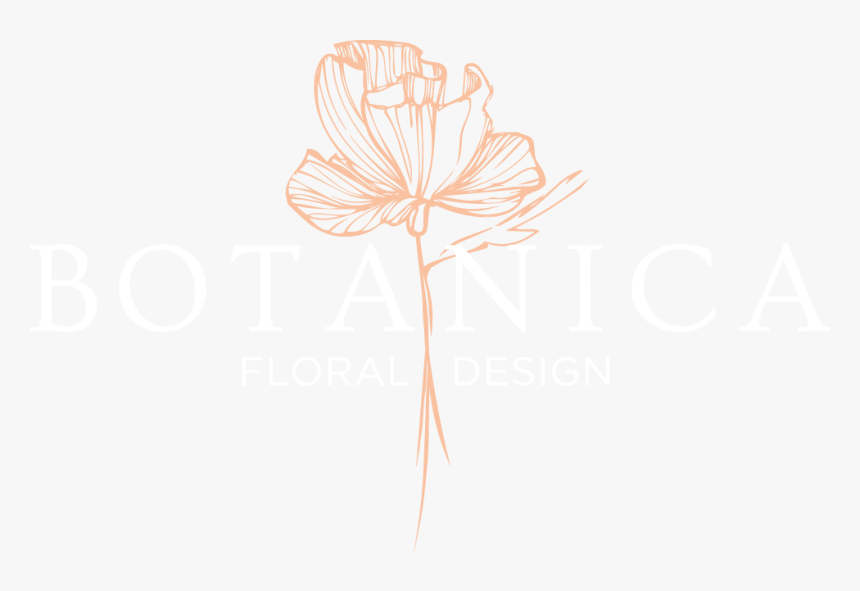 Botanica - Illustration, HD Png Download, Free Download