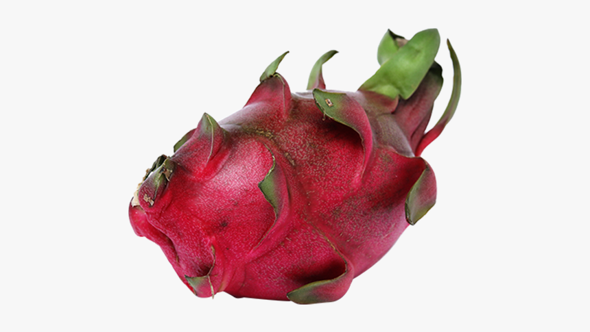 Pitaya, HD Png Download, Free Download