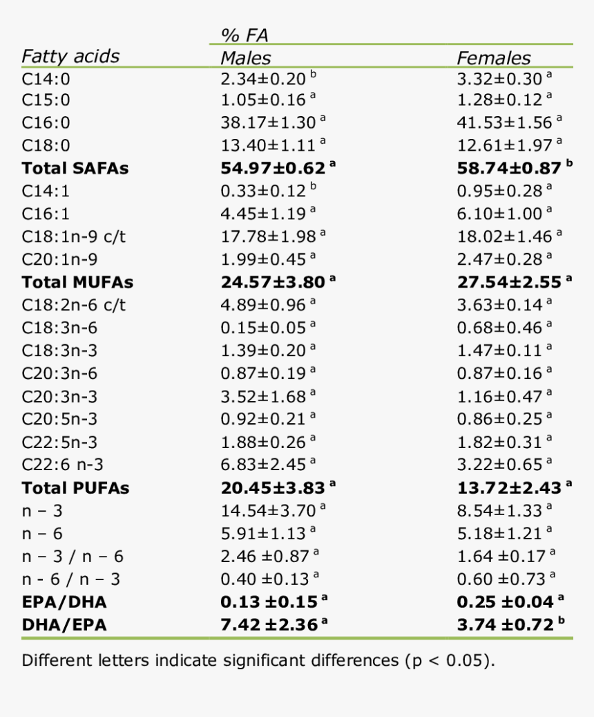 Document, HD Png Download, Free Download