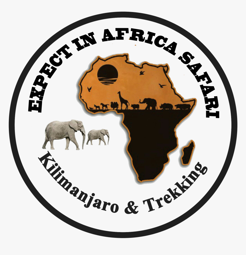 Transparent Africa - Sheep, HD Png Download, Free Download