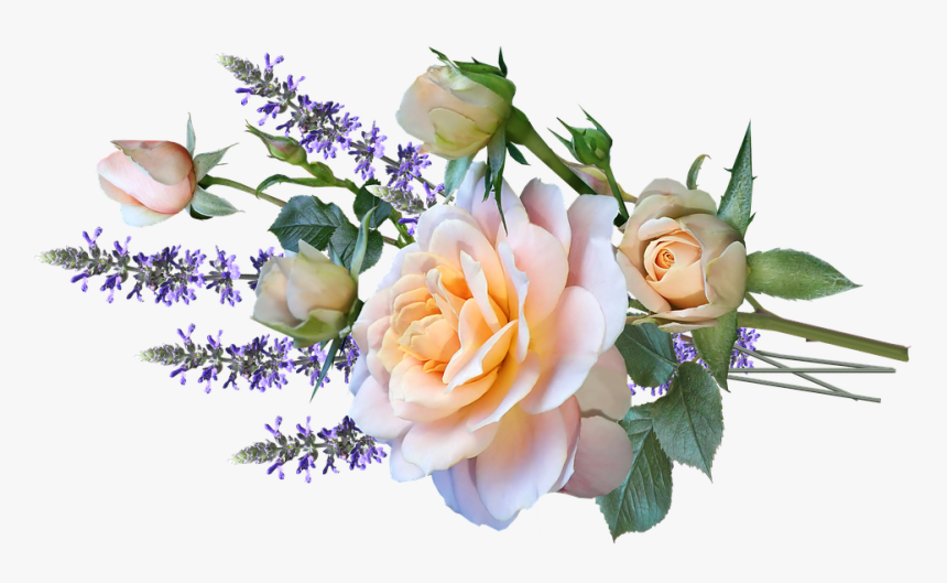 Roses, Flowers, Bouquet, Salvias, Cut Out, Isolated - Flower Bouquet Pixabay, HD Png Download, Free Download