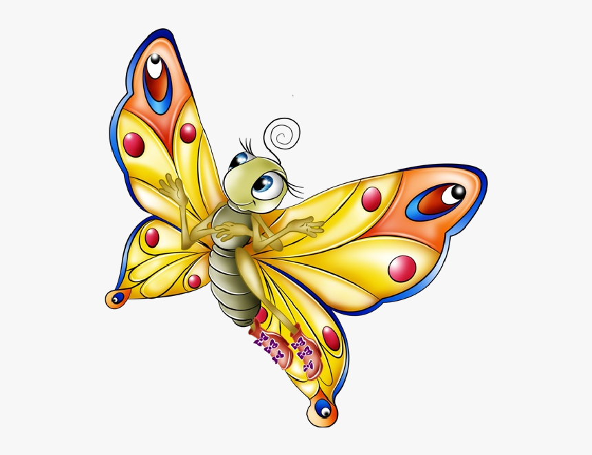 Very Colourful Butterfly Cartoon Images - Clipart Butterfly Cartoon, HD Png Download, Free Download