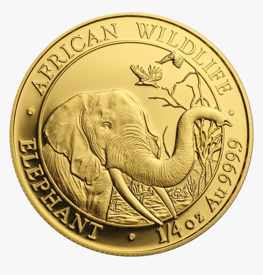 2018 Somalian Elephant 1/4oz Gold Coin - 2018 1 Oz Gold Somalia Elefant, HD Png Download, Free Download