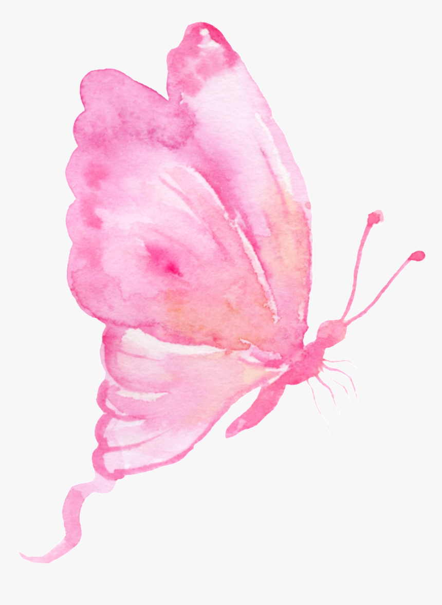 This Backgrounds Is Teenage Girl Butterfly Cartoon - Transparent Background Pink Butterfly Png, Png Download, Free Download