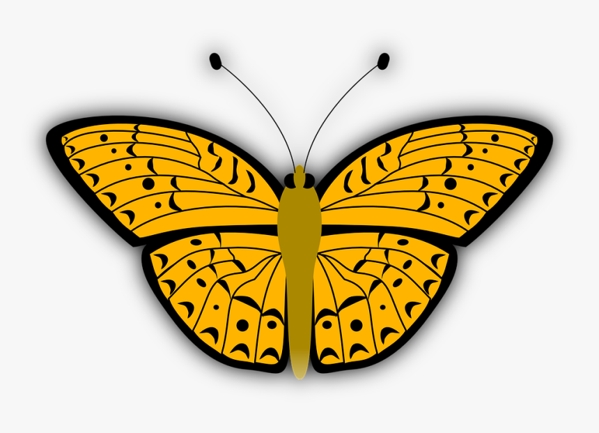 Butterfly, Insect, Bug, Yellow, Pattern, Wings, Beauty - Kupu Kupu Animasi Png, Transparent Png, Free Download