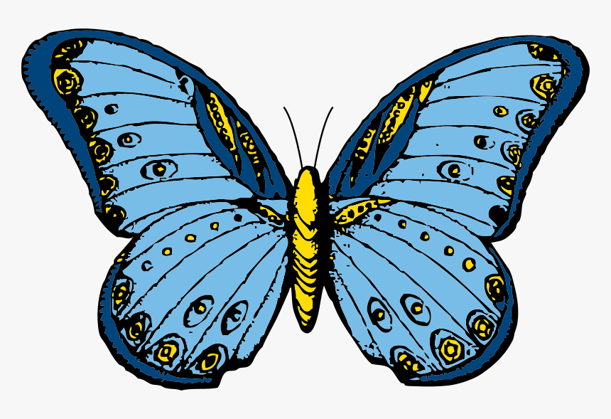 Free Clipart - Popular - 1001freedownloads - Com - Mariposa Clipart, HD Png Download, Free Download