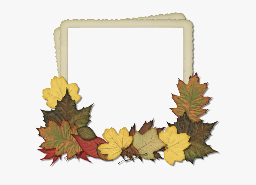 Transparent Leaf Clipart - Autumn Leaf Frames Png, Png Download, Free Download