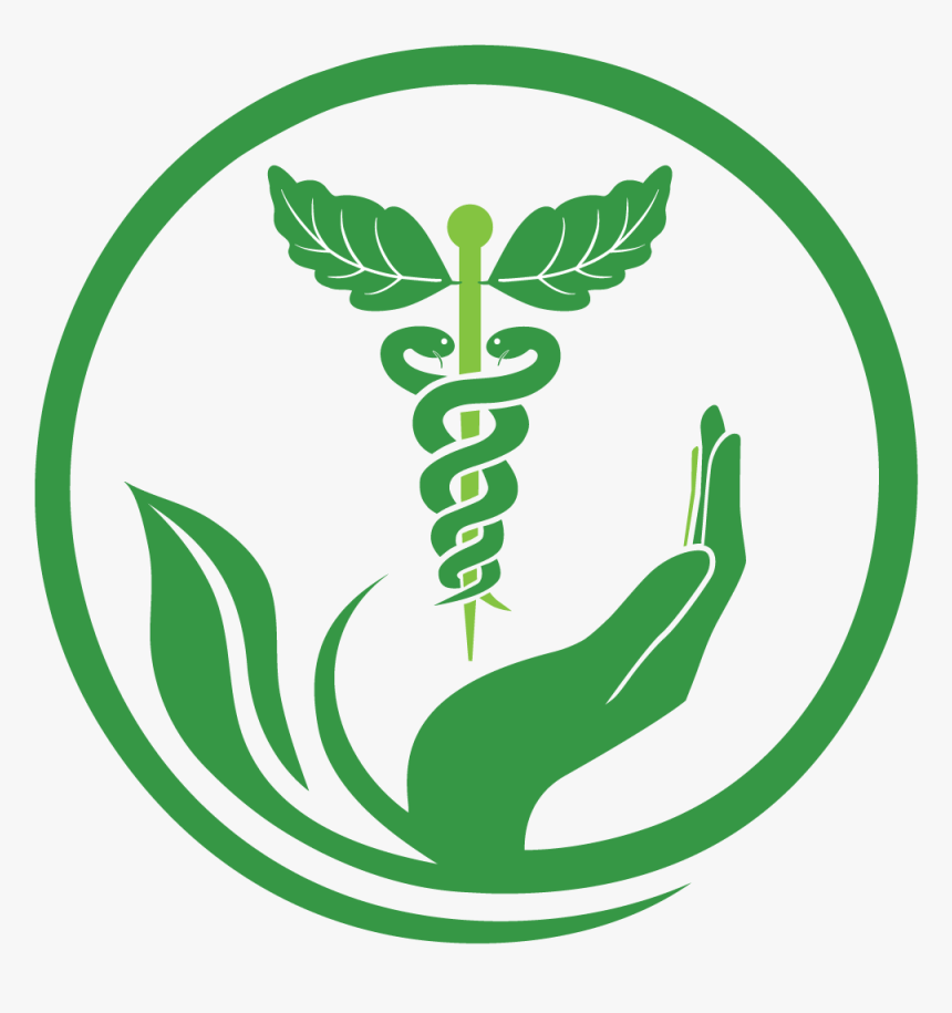 Naturopathy Services Health Medicine Herbalism Pharmacy - Herbal Medicine Logo Png, Transparent Png, Free Download