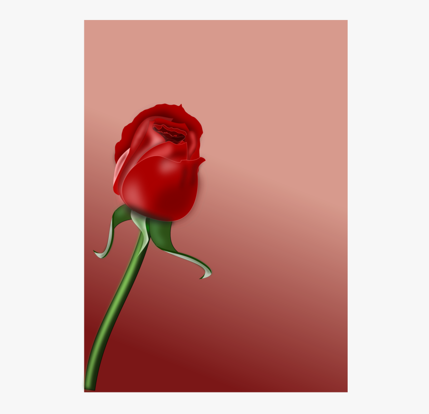Computer Wallpaper,plant,flower - Bunga Bunga Cinta, HD Png Download, Free Download