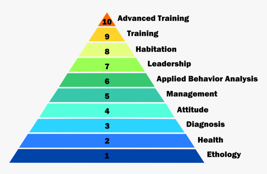 Pyramid Of Employee Needs, HD Png Download, Free Download