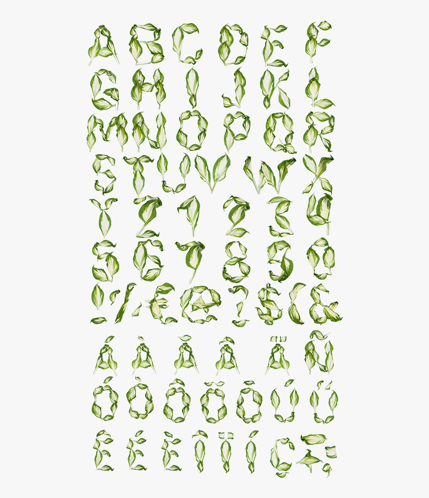 Pipal Leaves Font Alphabet Nature Font Abecedario - Nature Font Alphabet, HD Png Download, Free Download