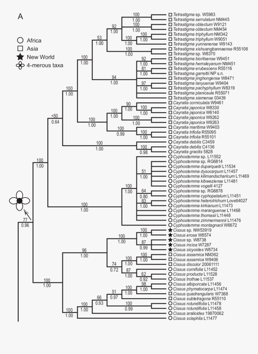 Diagram, HD Png Download, Free Download