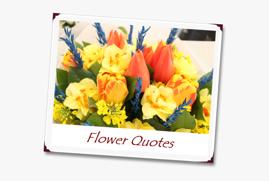 F/ower Quotes - Tulip, HD Png Download, Free Download