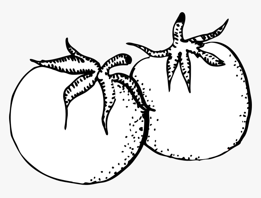 Tomato Clipart Black And White Png, Transparent Png, Free Download