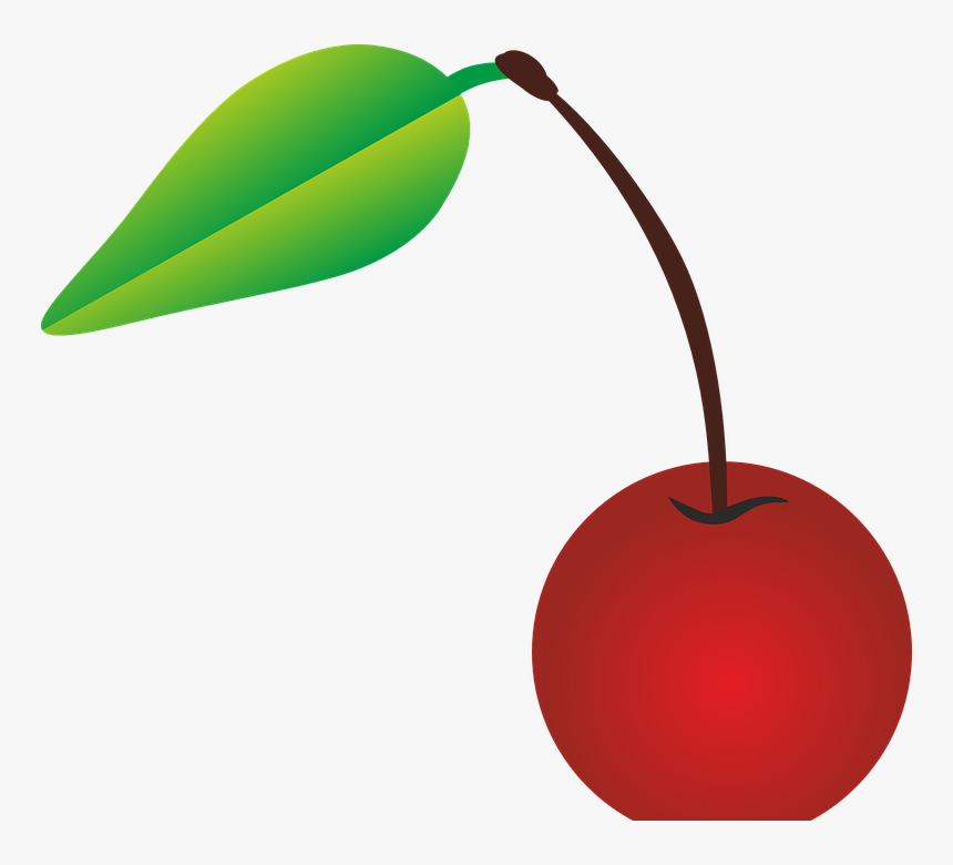 Cherry, Cherries, Fruit - Buah Cherry Png, Transparent Png, Free Download