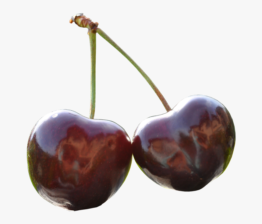 Cherry, Pair, Fruits, Sweet, Food, Eat, Vitamins - Gambar Buah Leci Animasi Vektor, HD Png Download, Free Download