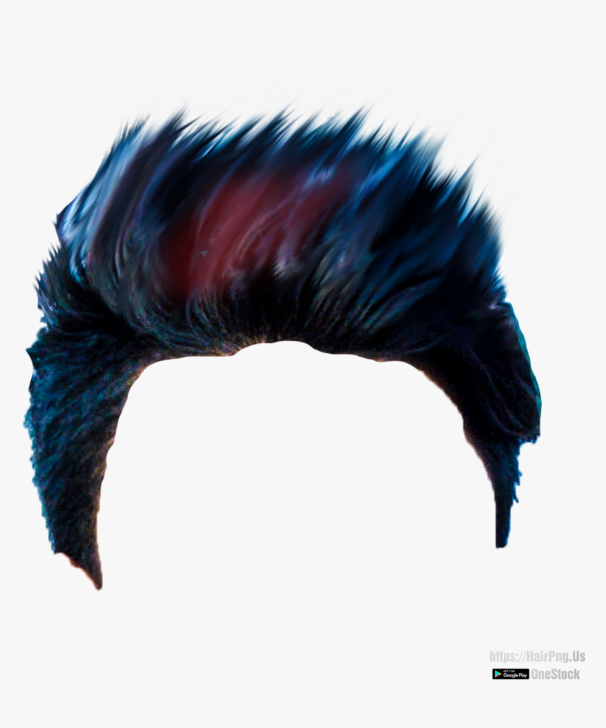 Hair Style Png Hd , Png Download - Fish, Transparent Png, Free Download