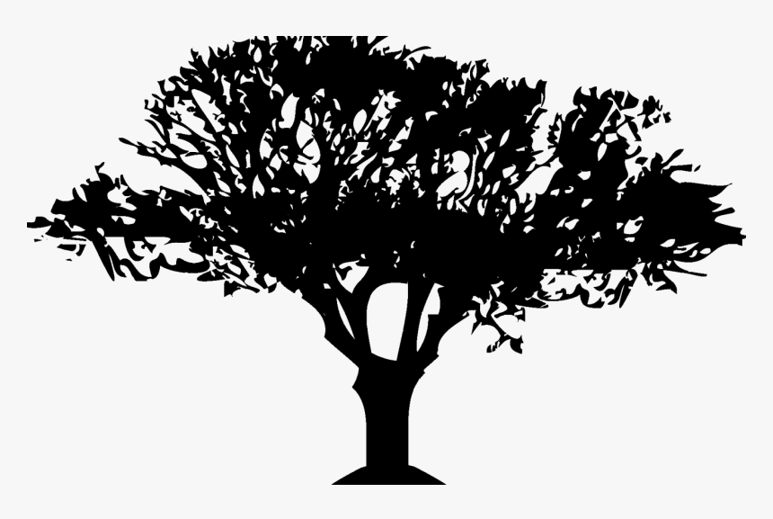 Jungle Tree Silhouette , Transparent Cartoons - Jungle Tree Silhouette, HD Png Download, Free Download