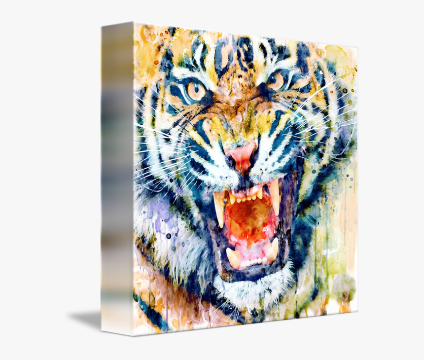 Angry Tiger Watercolour, HD Png Download, Free Download