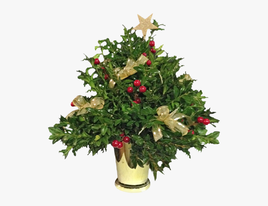 Christmas Tree, HD Png Download, Free Download