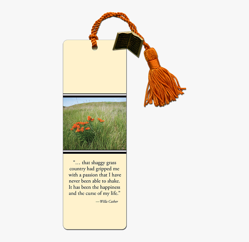 Transparent Prairie Grass Png - Lily, Png Download, Free Download