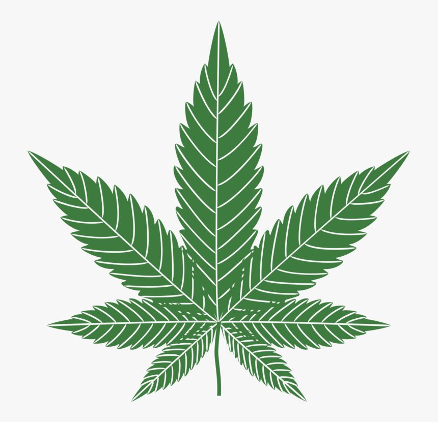 Plant,leaf,hemp Family - Transparent Background Cannabis Leaf Png, Png Download, Free Download