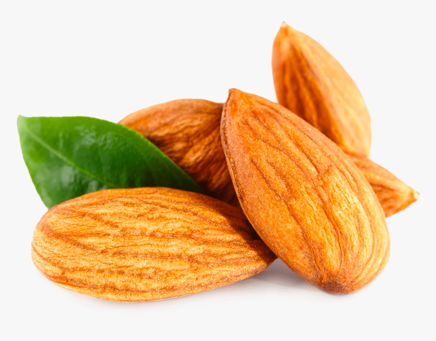 Almond, HD Png Download, Free Download