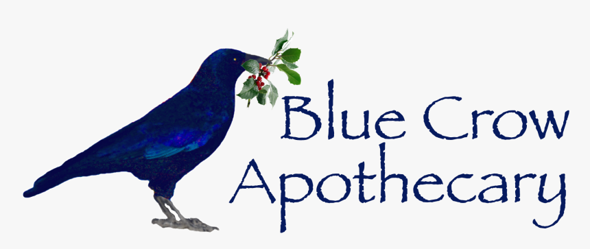 Blue Crow Apothecary - Eastern Bluebird, HD Png Download, Free Download