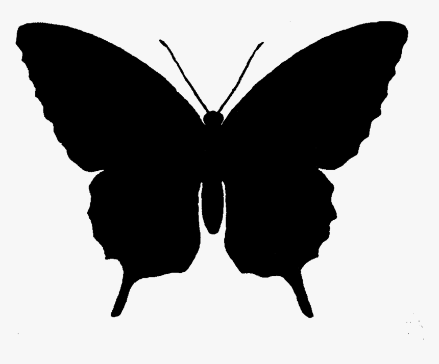Butterfly Silhouette Clip Art - Black Butterfly Silhouette Png, Transparent Png, Free Download