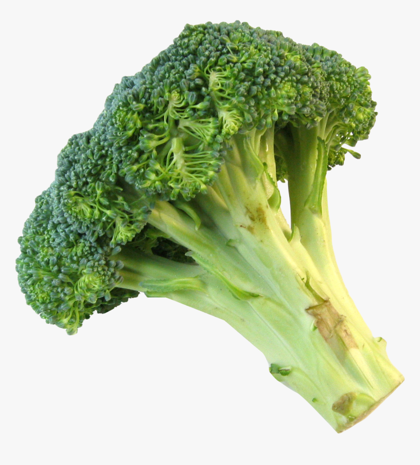 Fresh Image Purepng Free - Broccoli Transparent Background, Png Download, Free Download