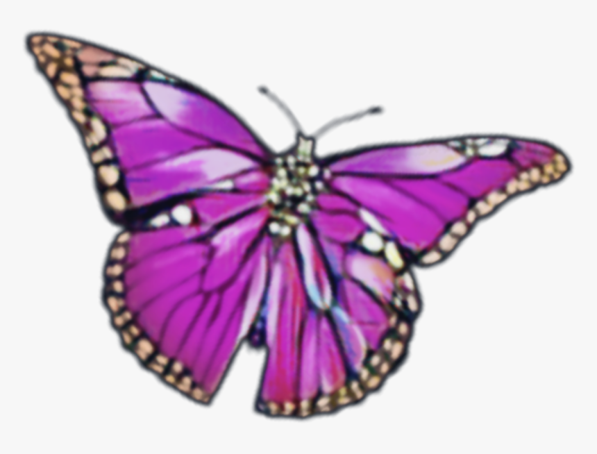 #sticker #png #butterfly #purplebutterfly - Swatch Green Yellow, Transparent Png, Free Download
