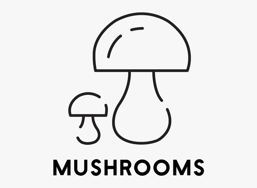 Mushroom, HD Png Download, Free Download