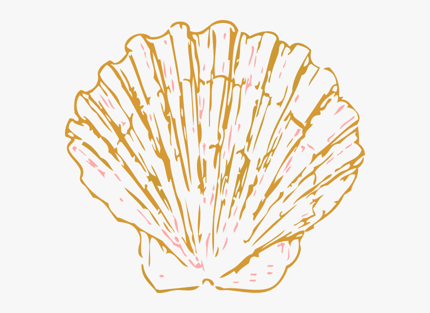 Coral Sea Shell Clip Art, HD Png Download, Free Download