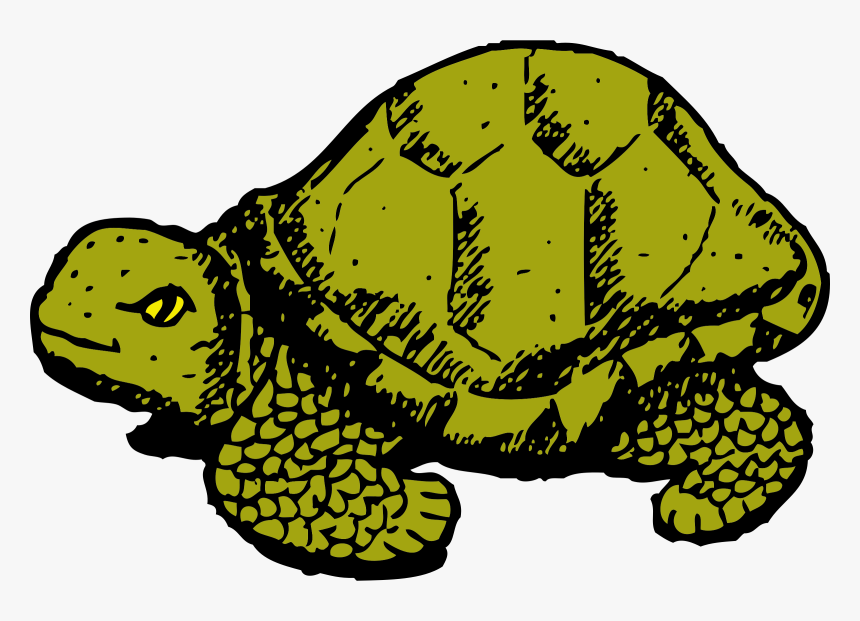 Tortoise - Dribble Tales Of A Fourth Grade Nothing, HD Png Download, Free Download