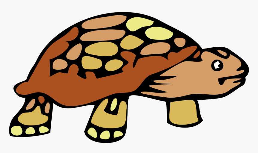 Turtle,reptile,tortoise - Tortoise Clipart, HD Png Download, Free Download
