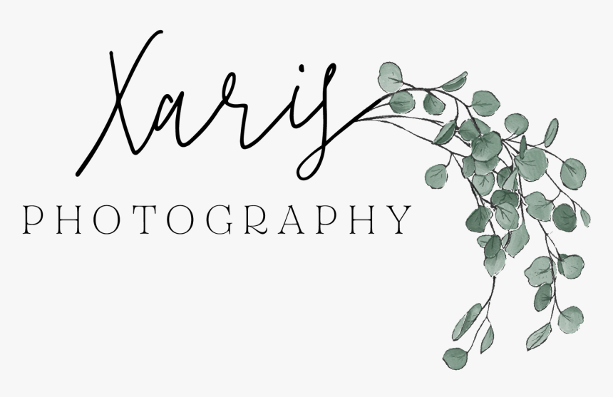 Xaris Logo Set-01 - Calligraphy, HD Png Download, Free Download