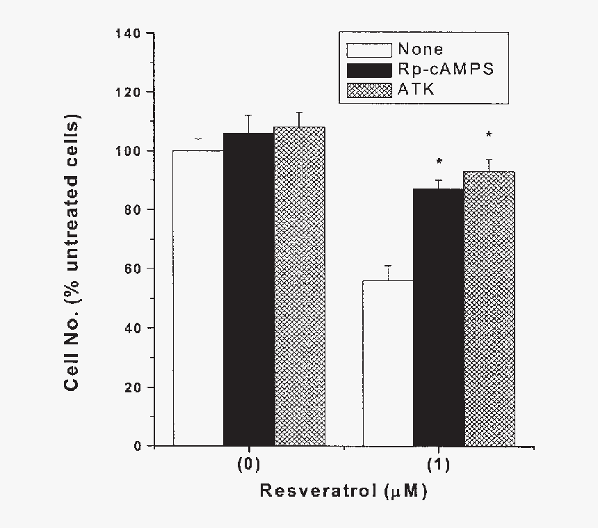 Basal Metabolic Rate, HD Png Download, Free Download