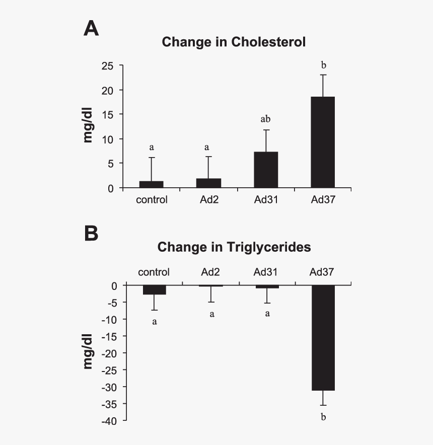 Estradiol Role In Precocious Puberty, HD Png Download, Free Download