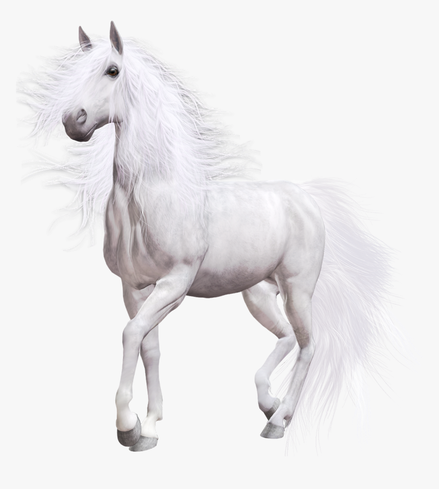 White Horse Png Clip Art - Transparent Background White Horse Png Transparent, Png Download, Free Download