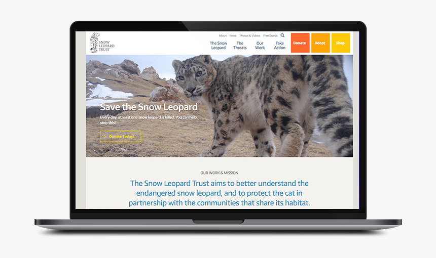 Snow Leopard, HD Png Download, Free Download