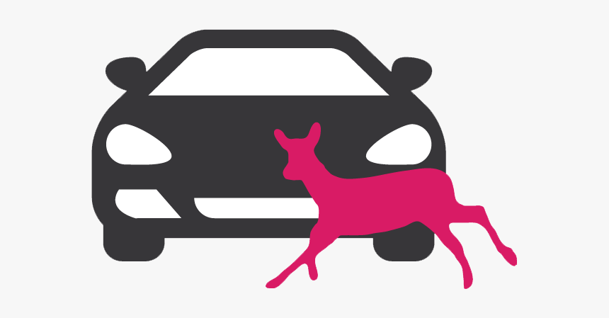 Road Kill Png - Front Car Icon Png, Transparent Png, Free Download