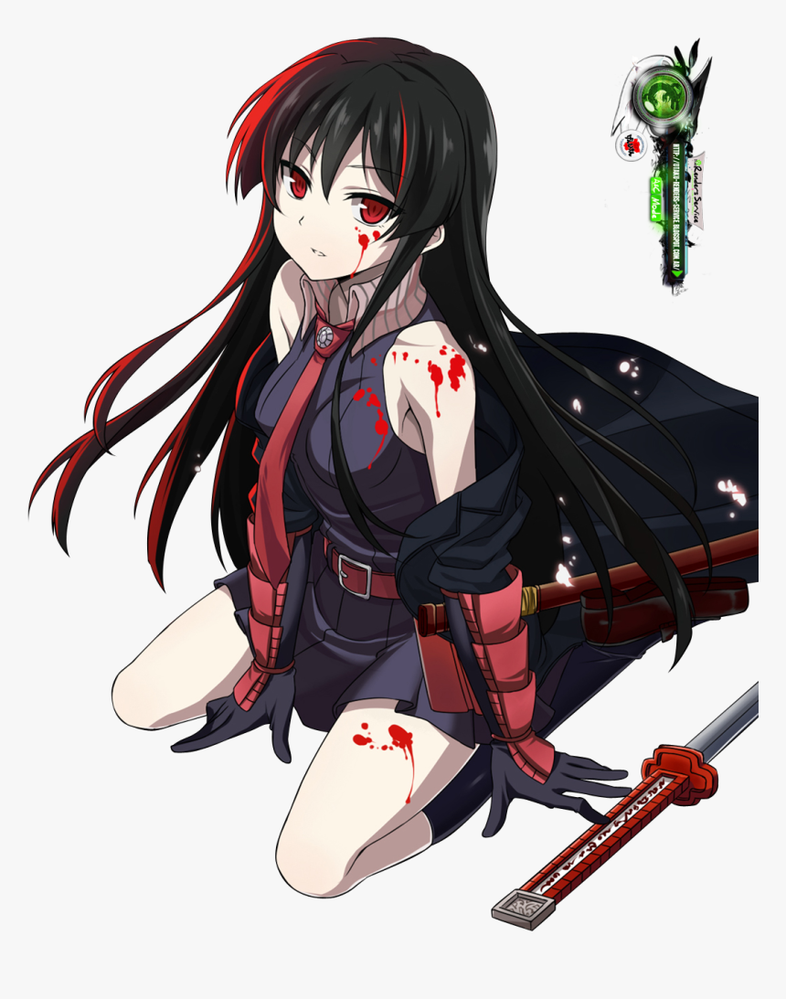 Akame Ga Kill Png - Akame Png, Transparent Png, Free Download