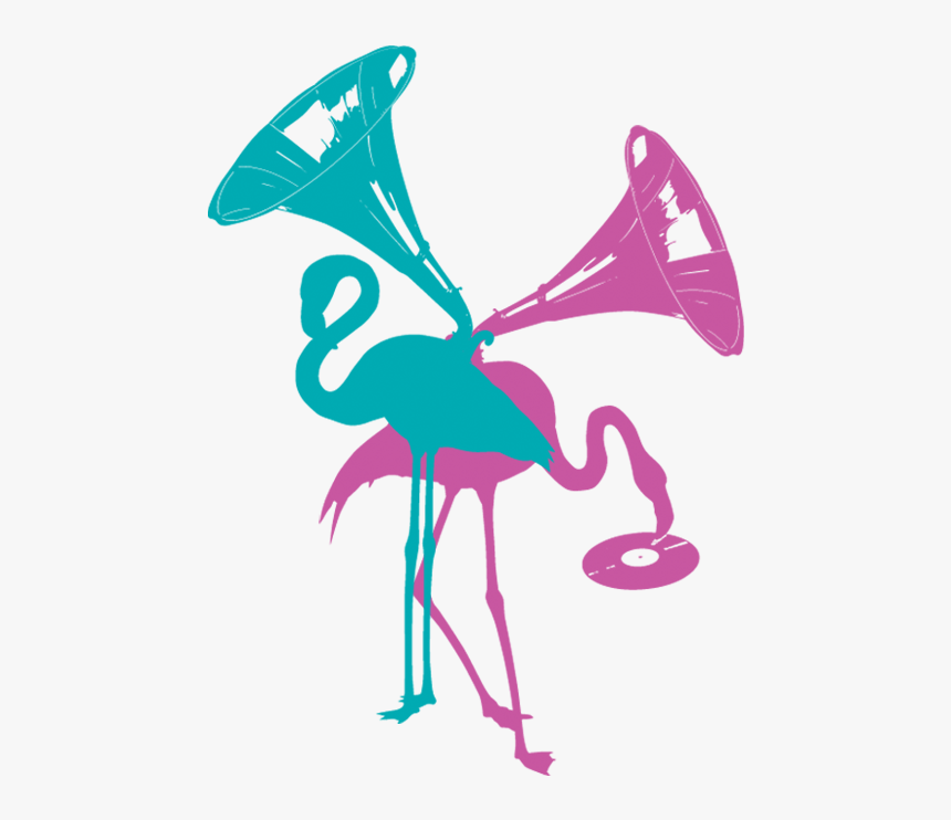 Phono Del Sol Flamingoes - Illustration, HD Png Download, Free Download