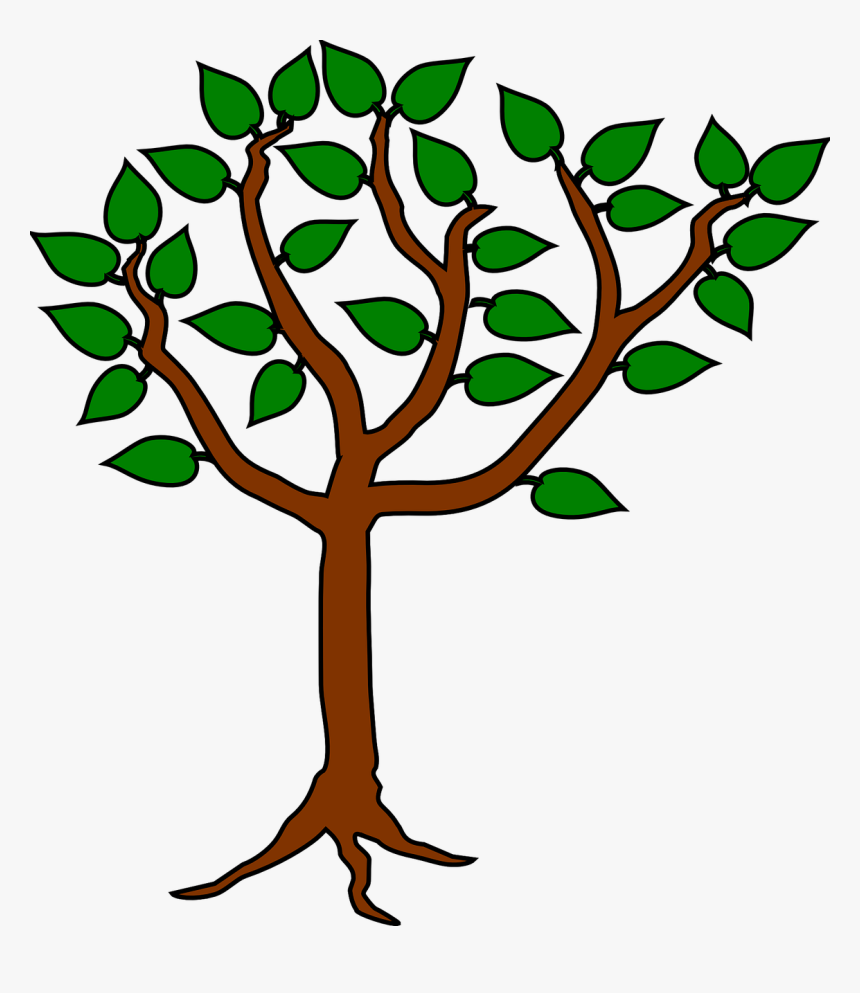 Tree, Heraldic, Symbol, Design, Icon, Graphic, Plant - Plant Symbol, HD Png Download, Free Download