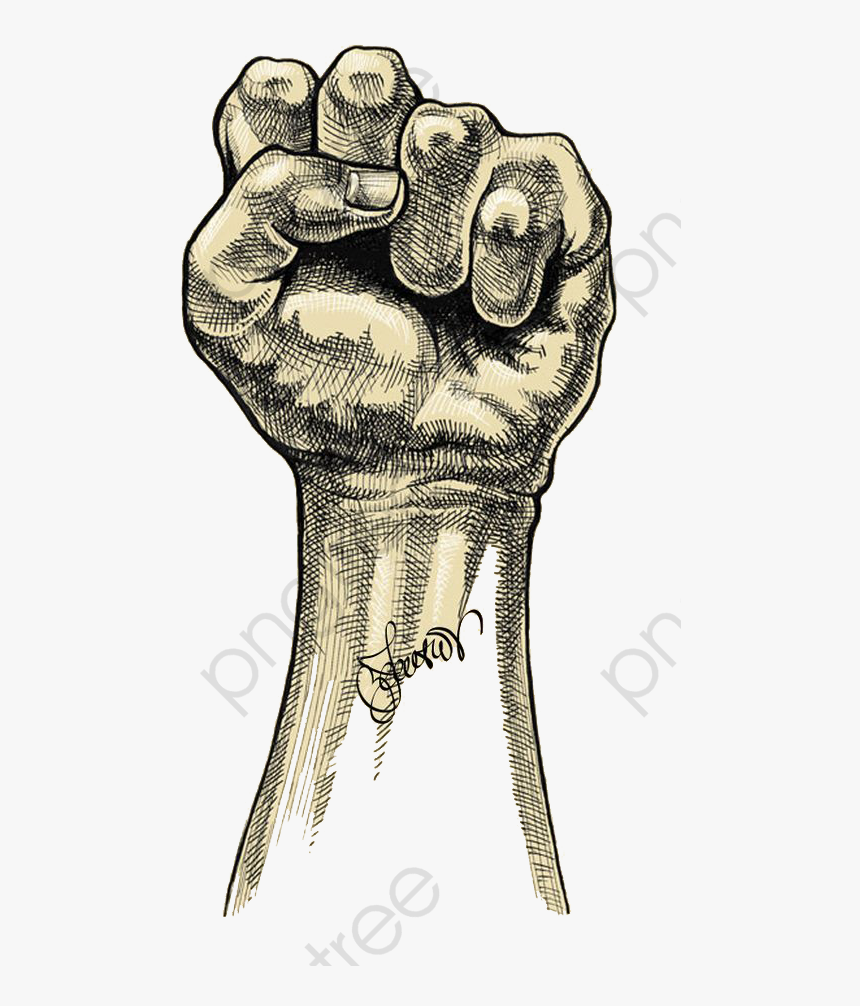 Fist Clipart Clenched - Cross Hatching Drawing, HD Png Download, Free Download