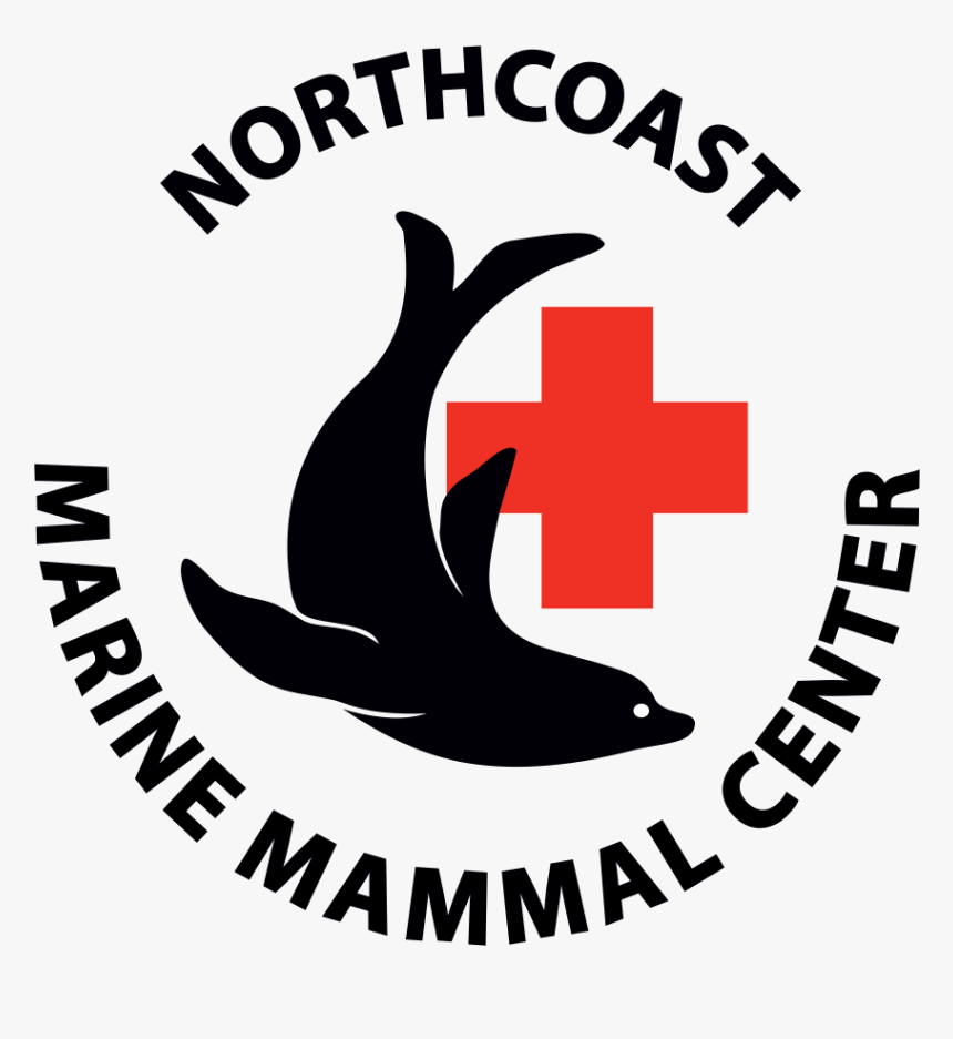 Media Item - Northcoast Marine Mammal Center, HD Png Download, Free Download