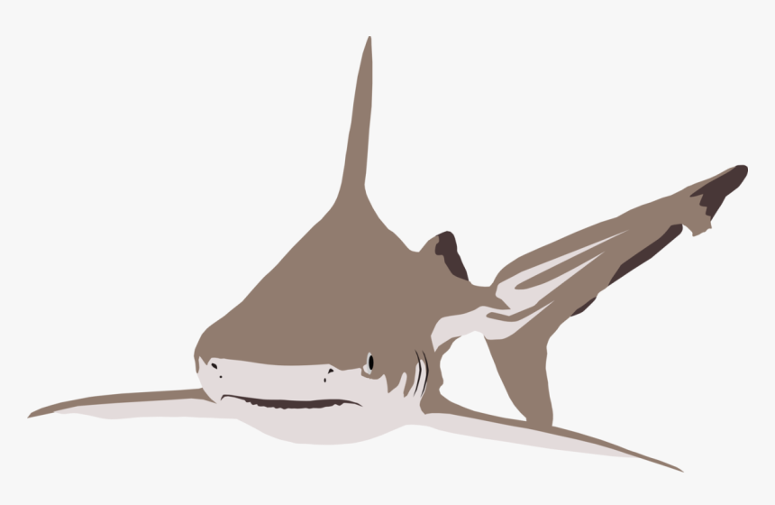 Transparent Marlin Clipart - Requiem Shark, HD Png Download, Free Download